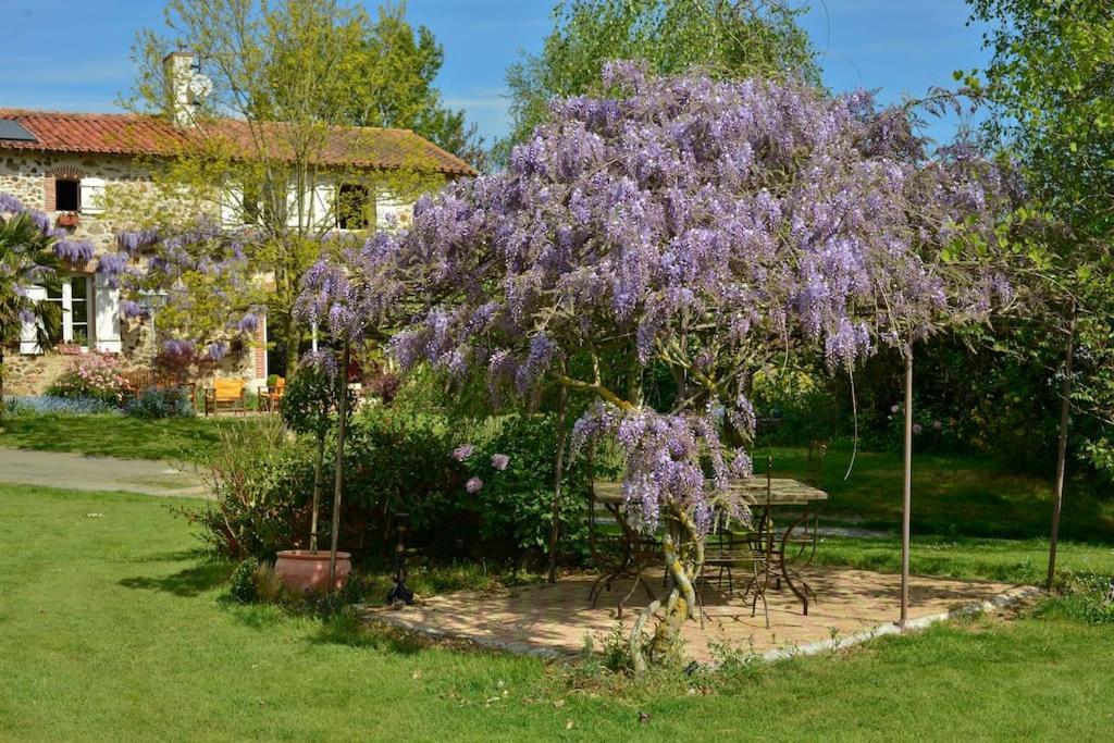 La Frapperie Bed & Breakfast La Pommeraie-sur-Sèvre Exterior photo
